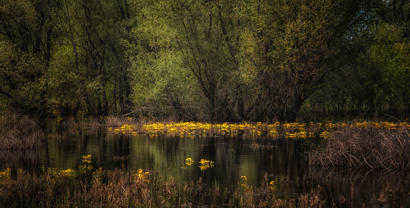 High water