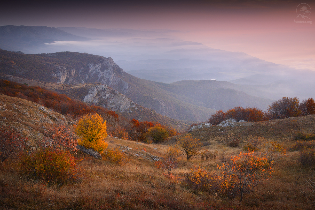 Autumn Walk
