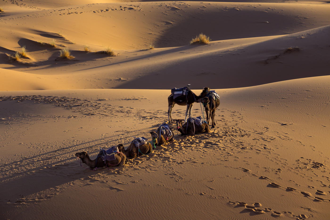 ..in der Sahara...