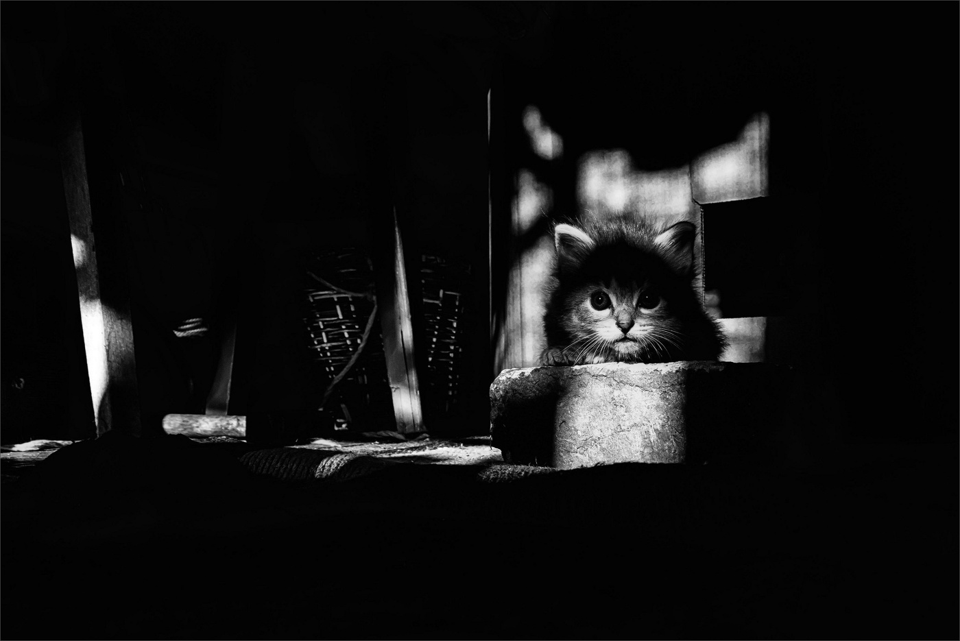 Life around