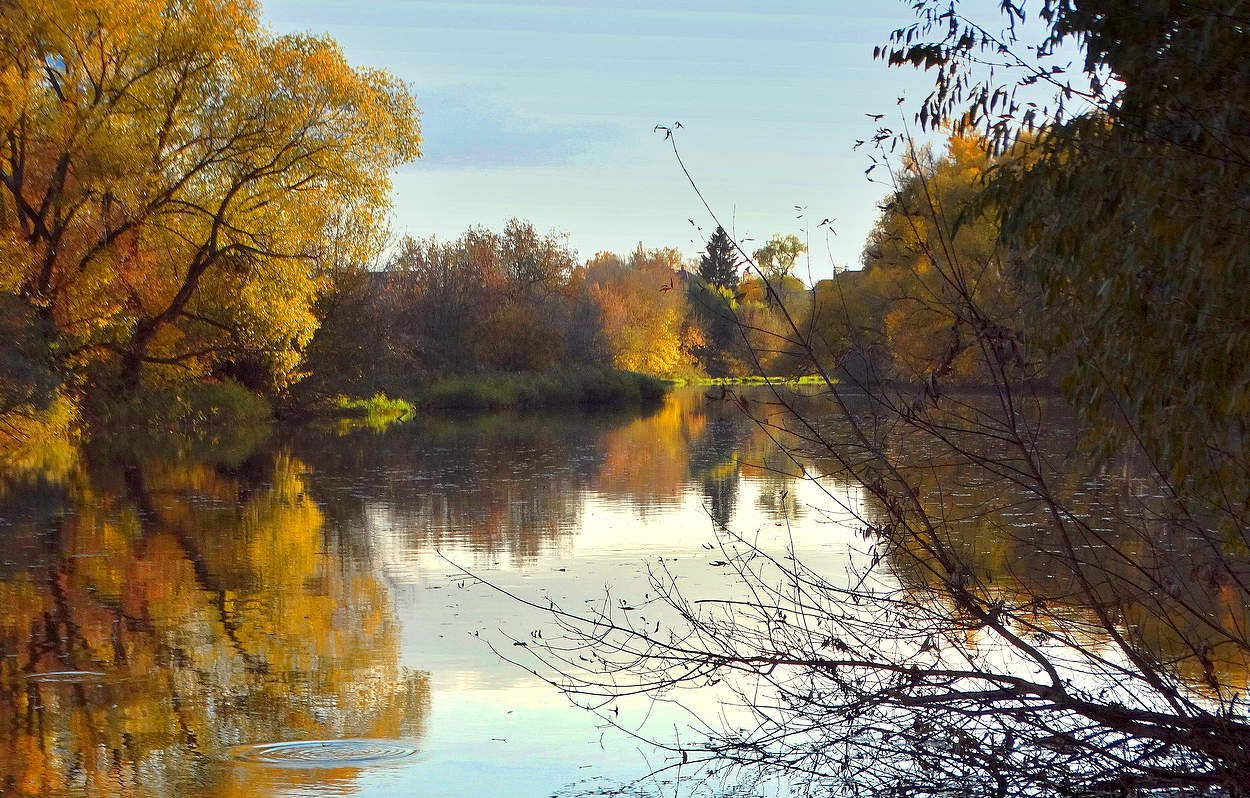 Autumn Motives