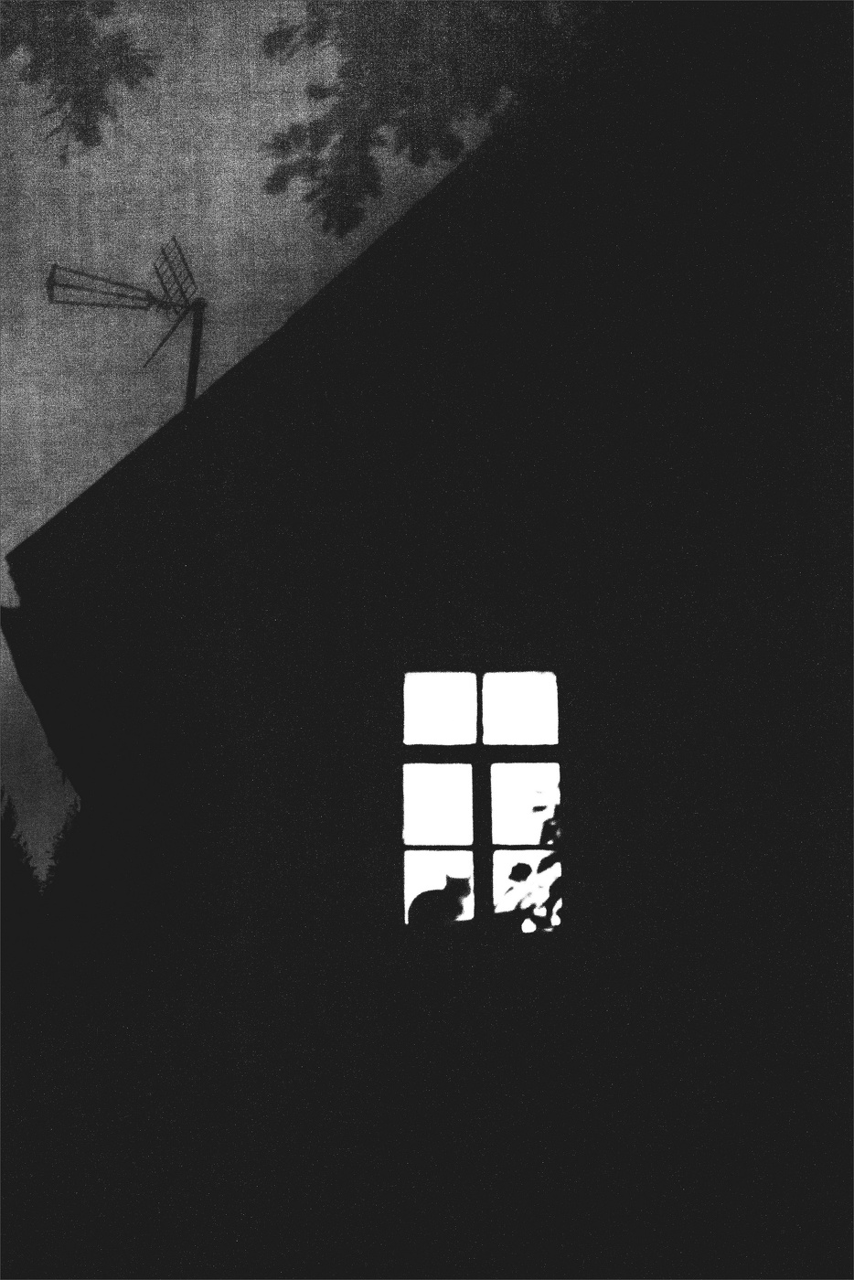 Life around