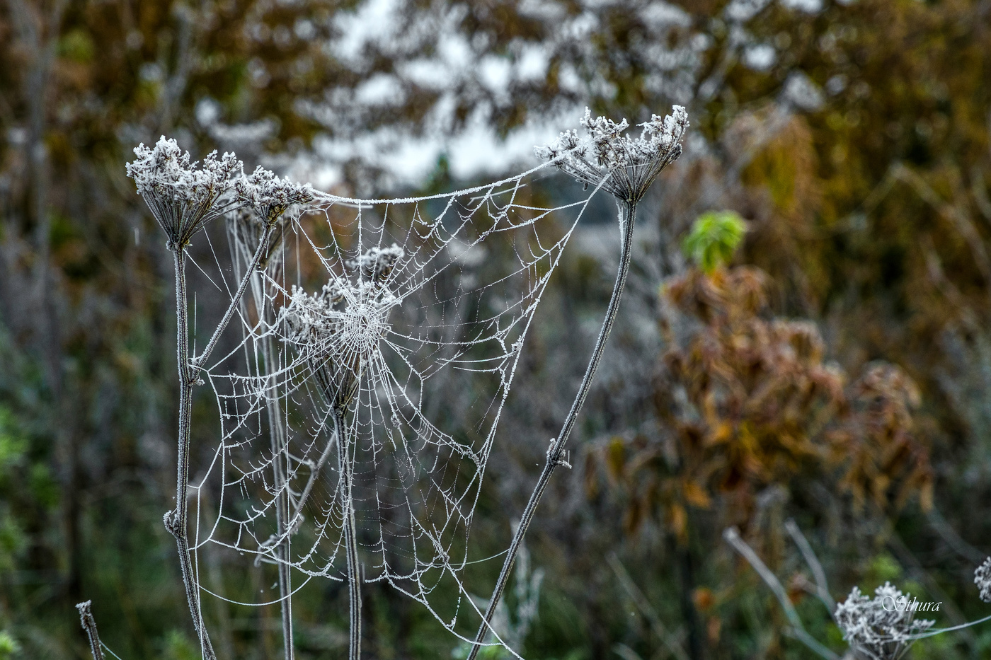 last day of October