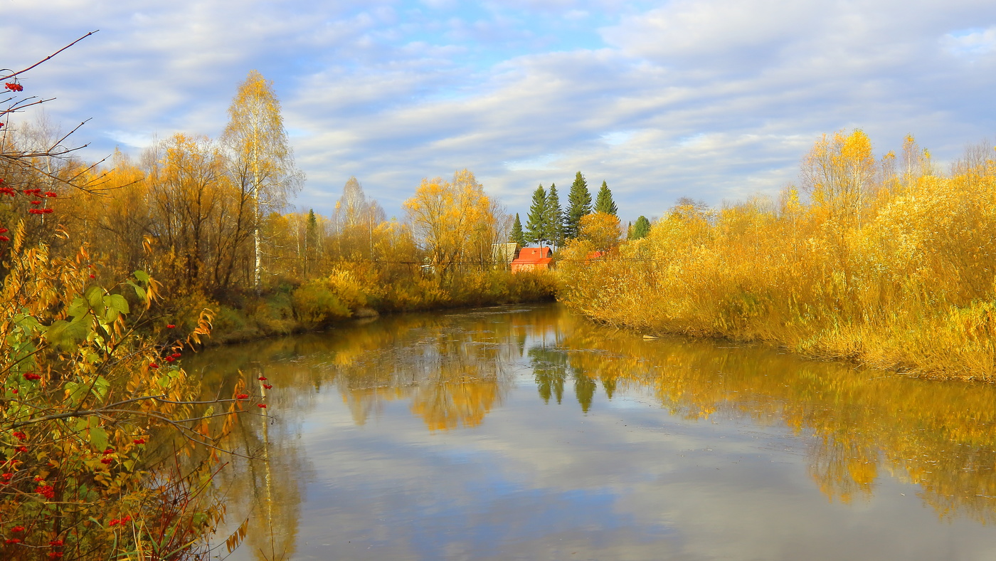 Autumn Gold
