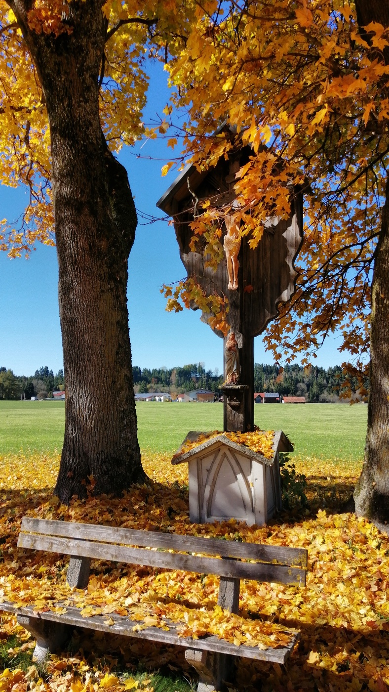 Autumn Blues.