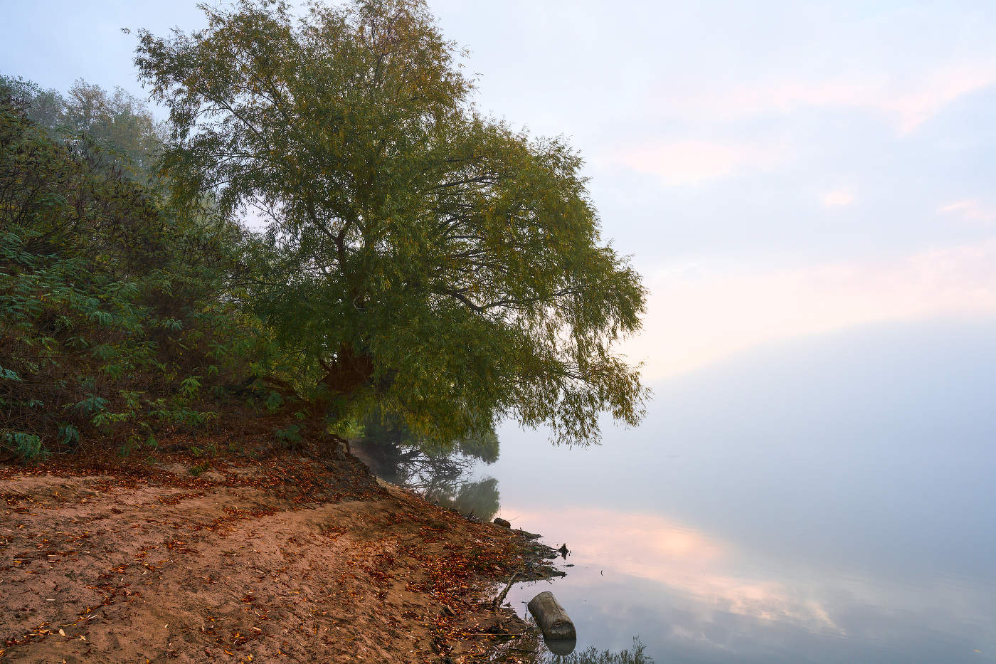 On the edge