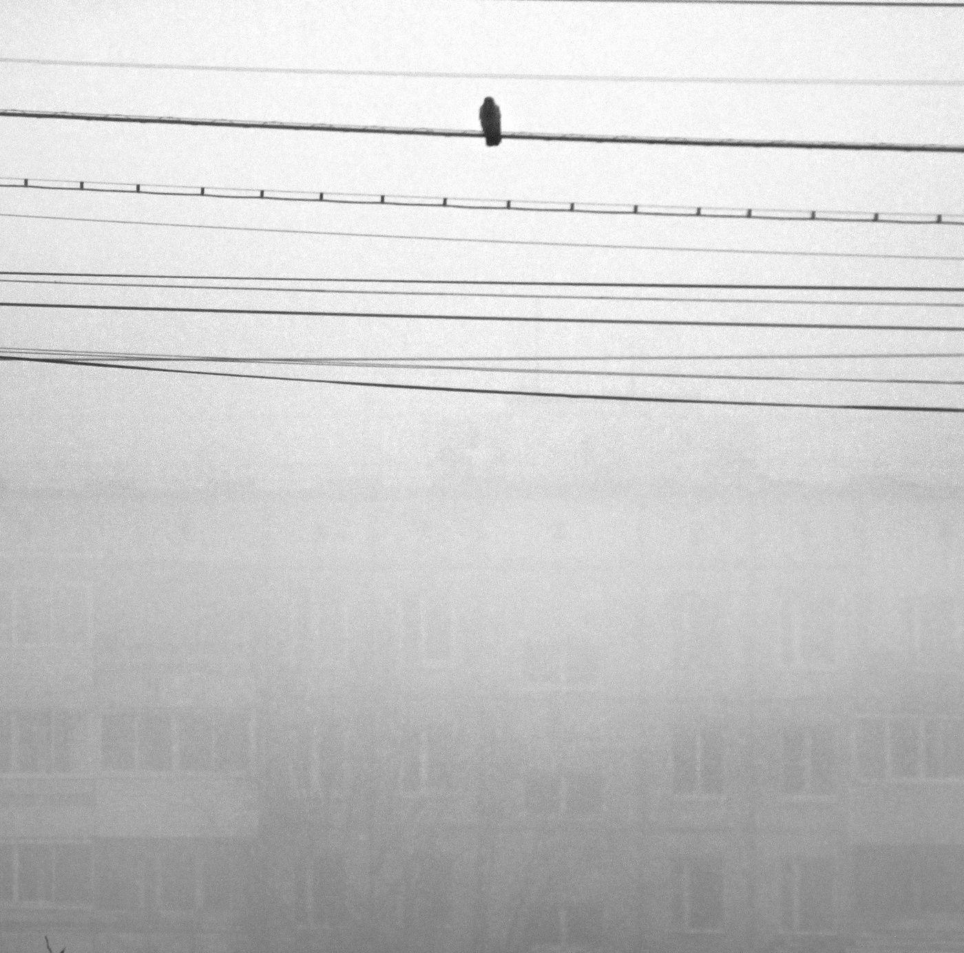 Gloomy