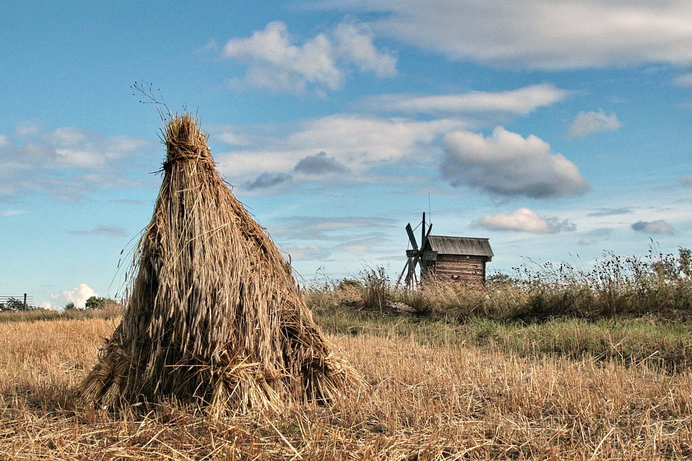 haymaking