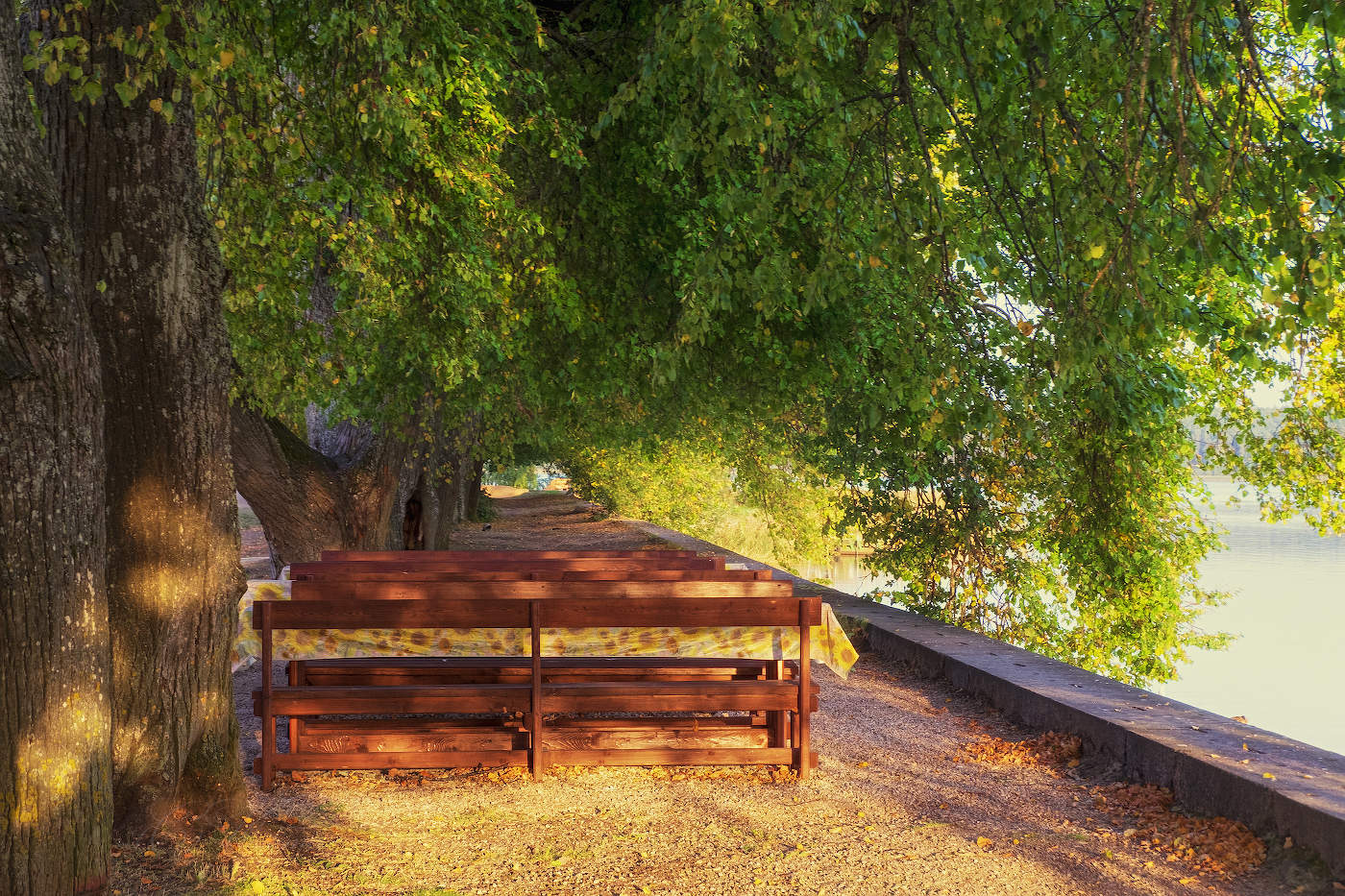 linden alley