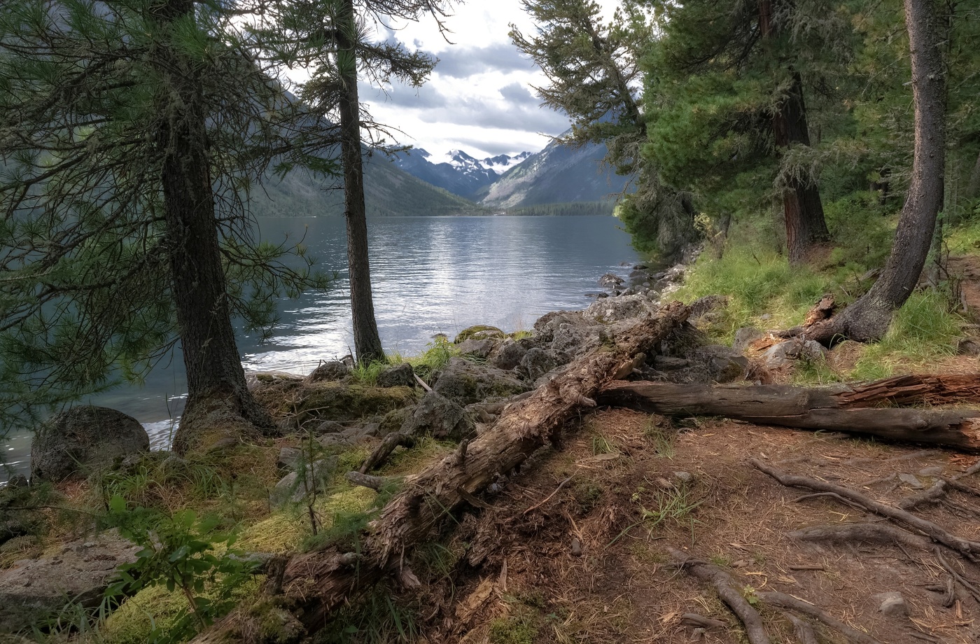 Lake Shore