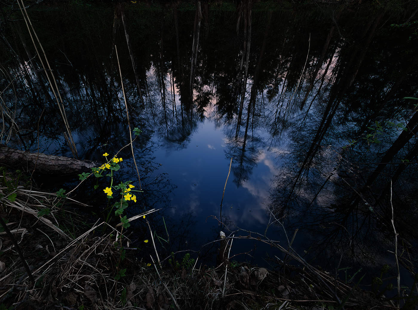 Magic water