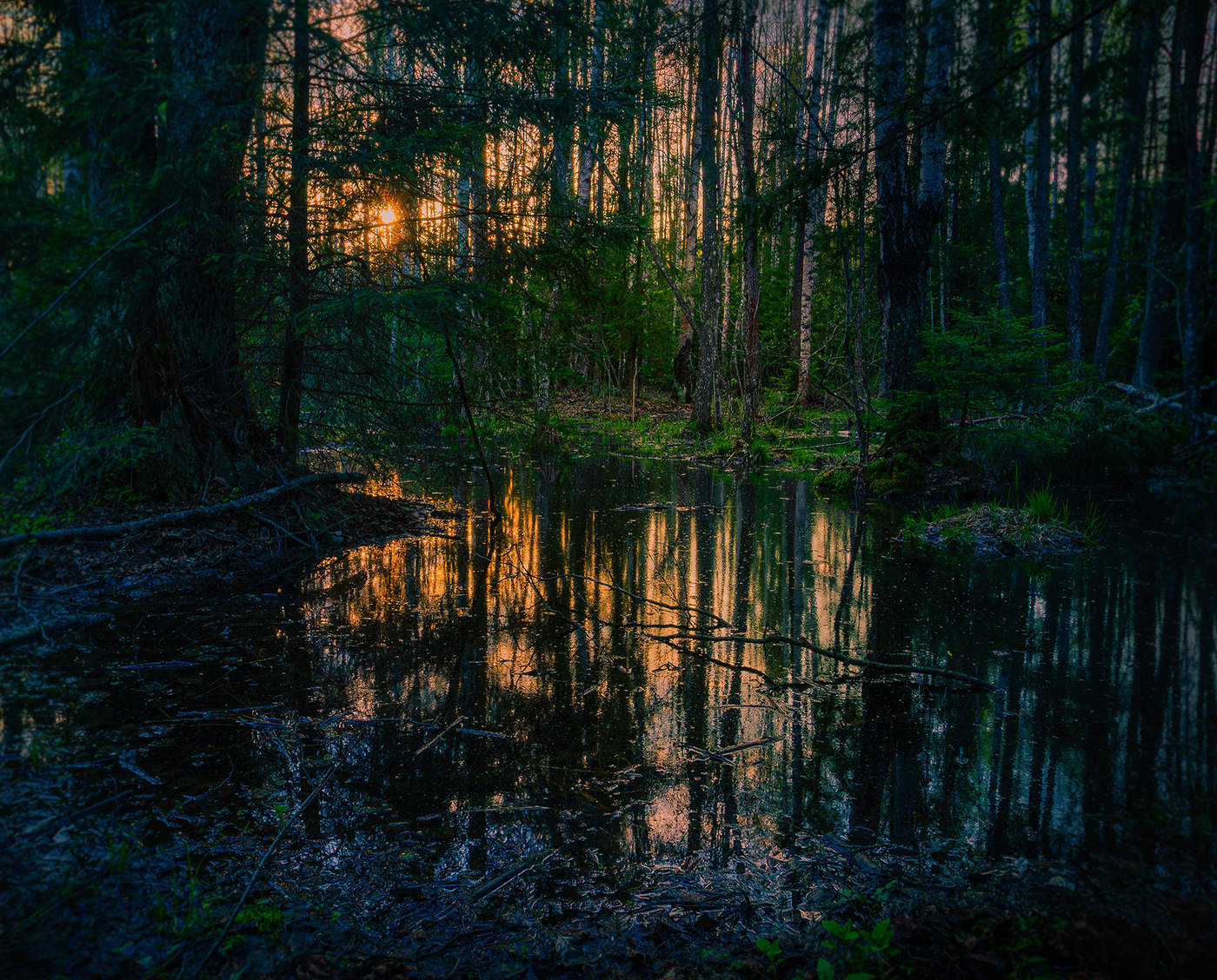 In the woods