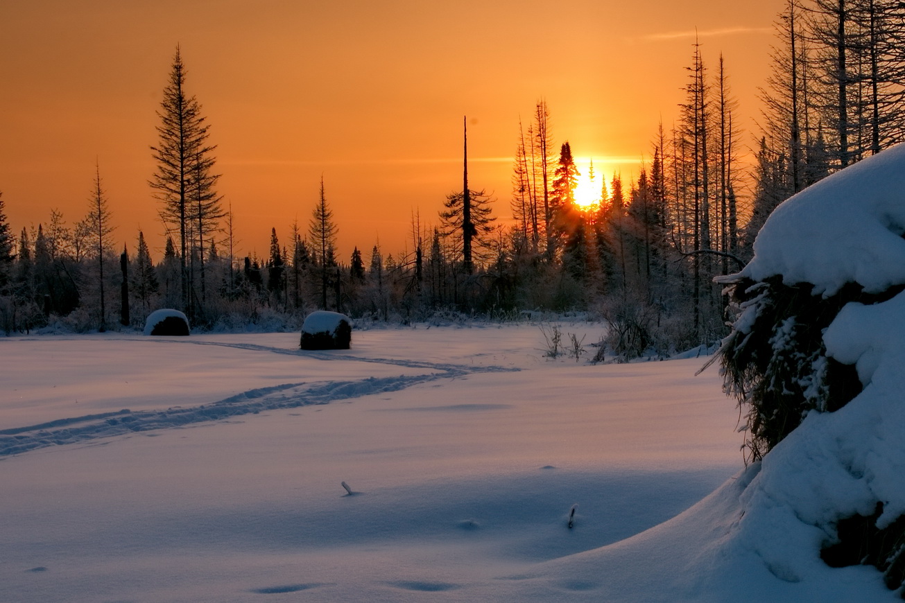 Evening