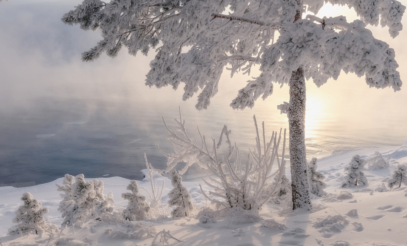 Frosty evening