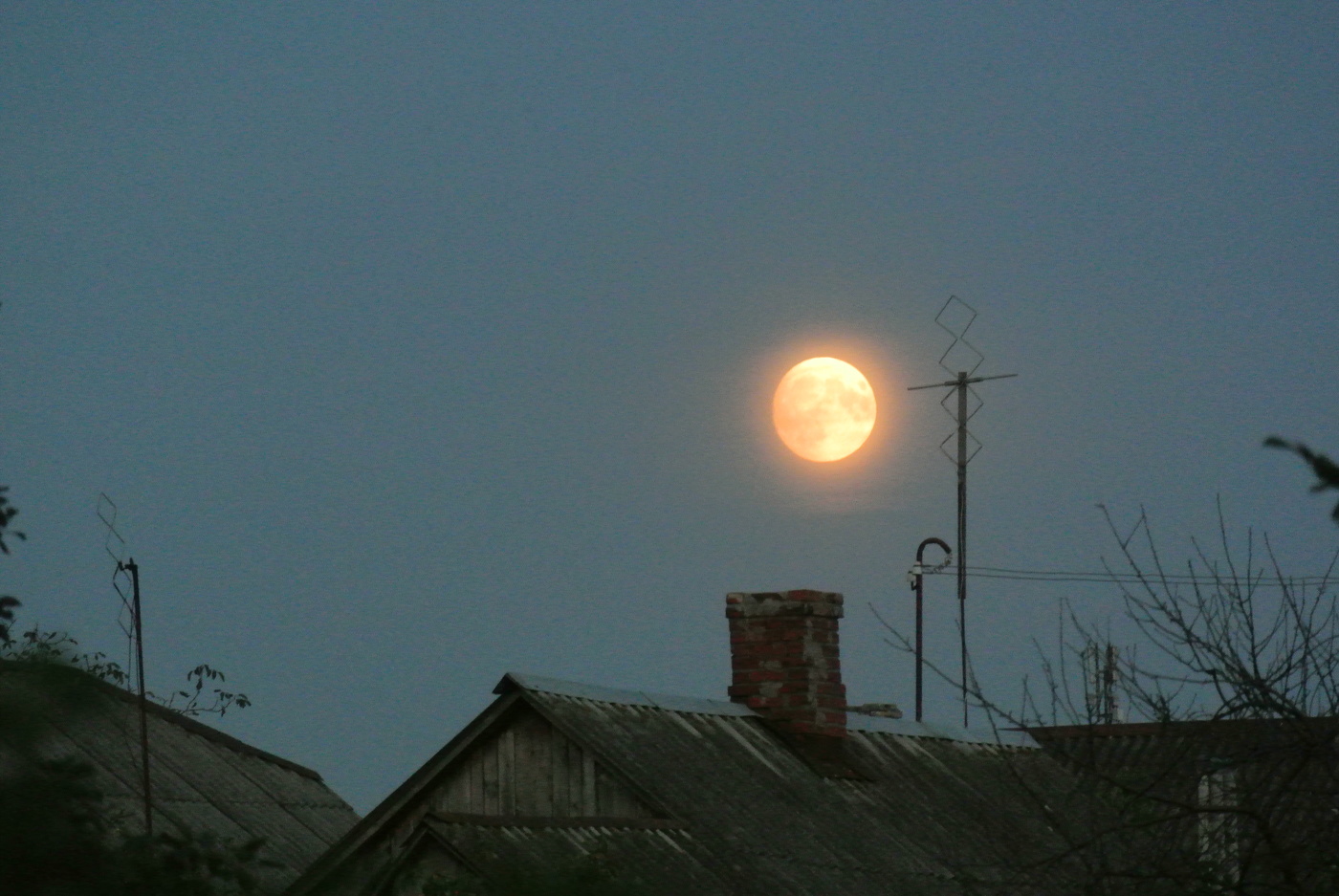 moon / ***