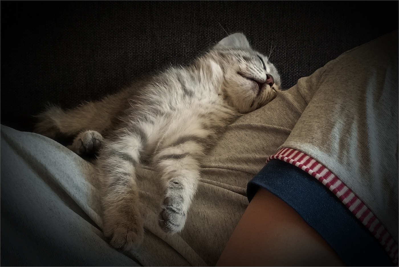 undisturbed sleep