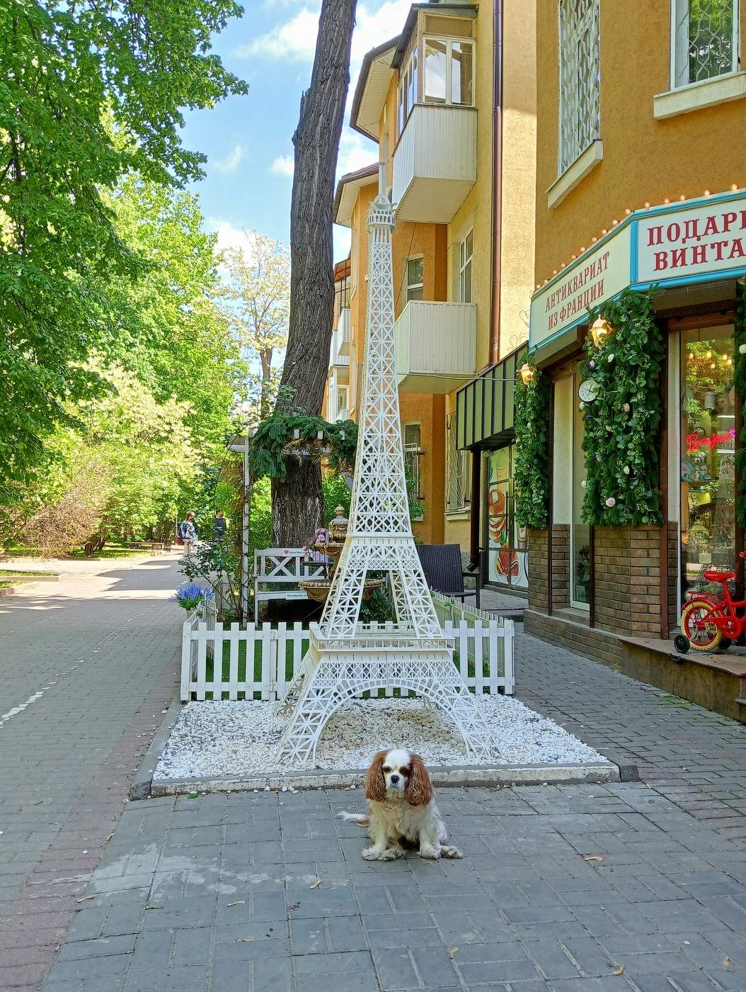 Parisian