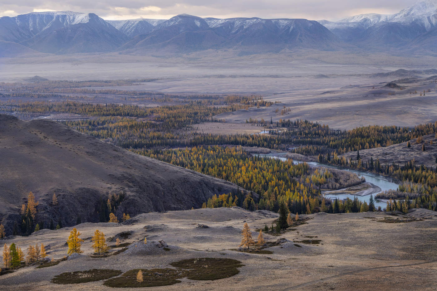 Altai autumn