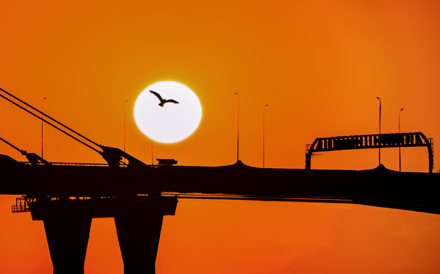 Silhouettes