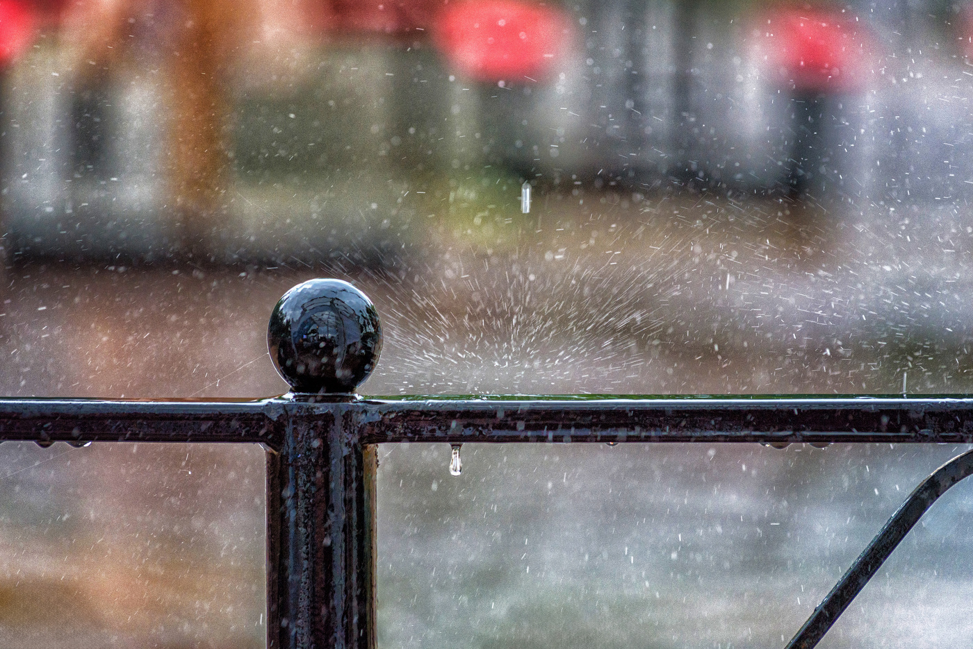 Rain