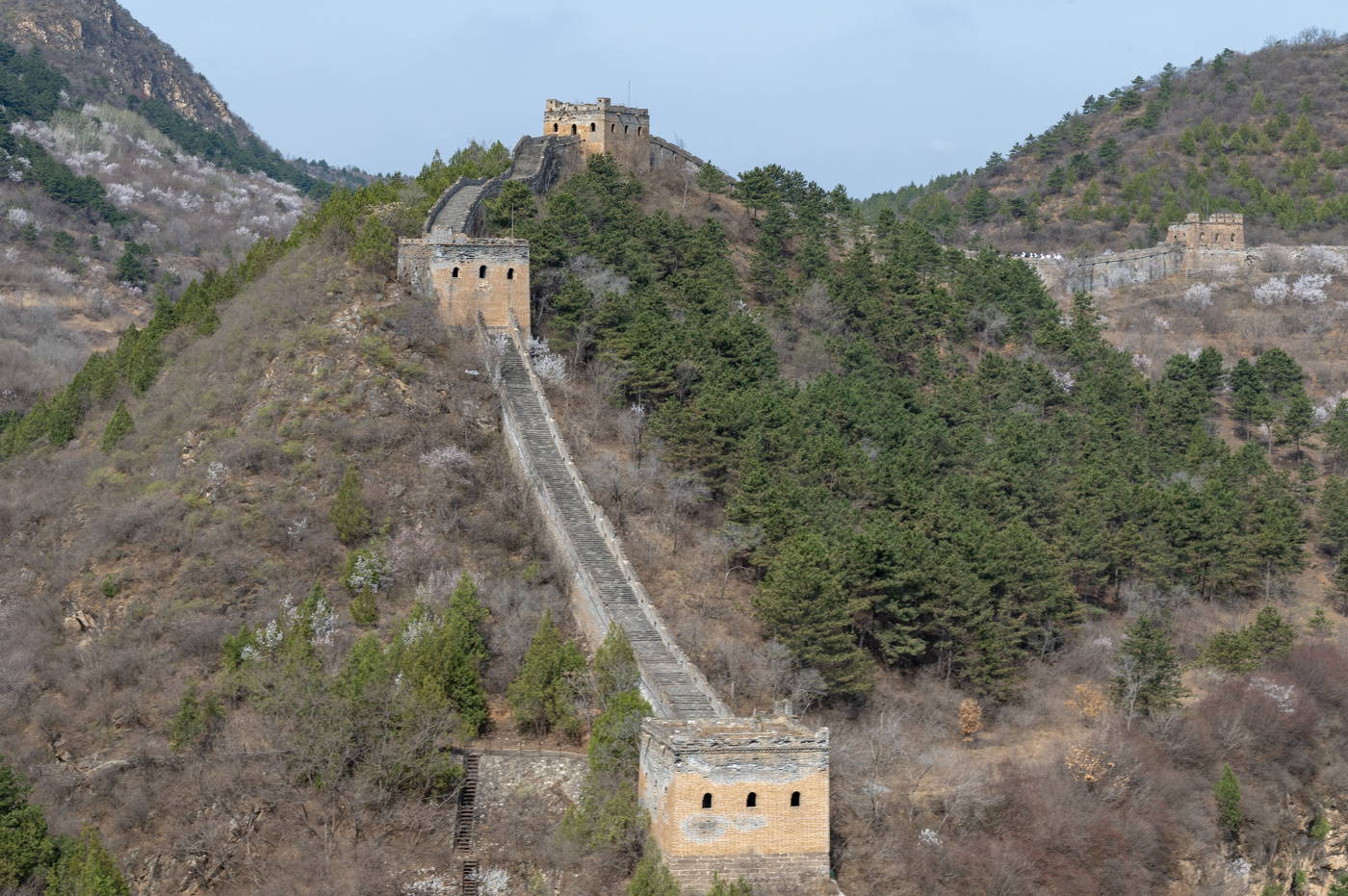 Wall