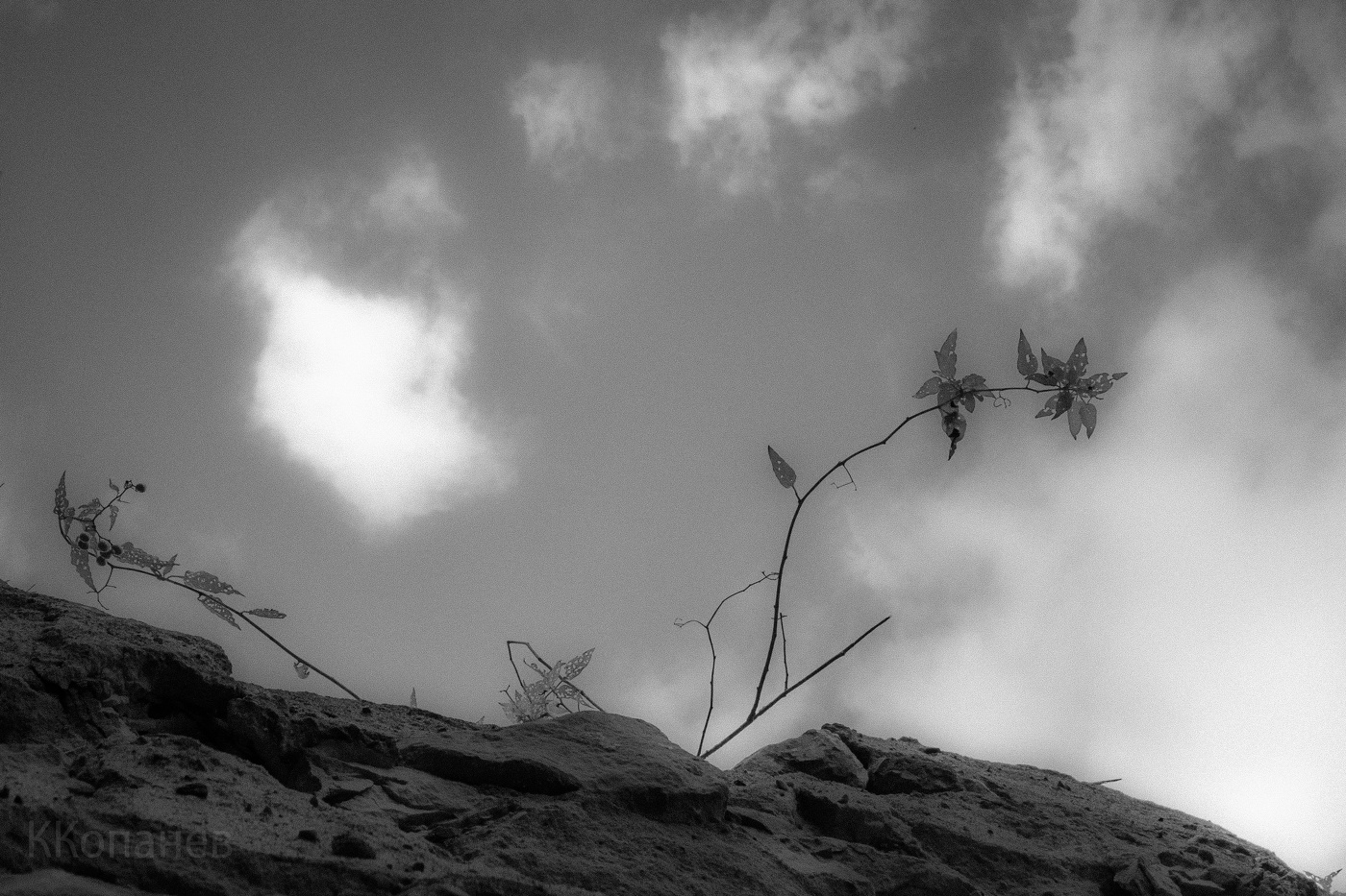 On the stone
