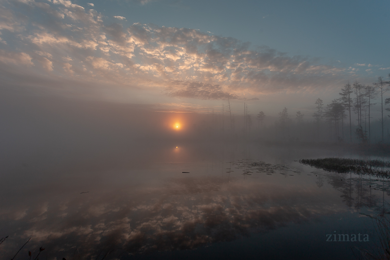 Dawn over the lake
