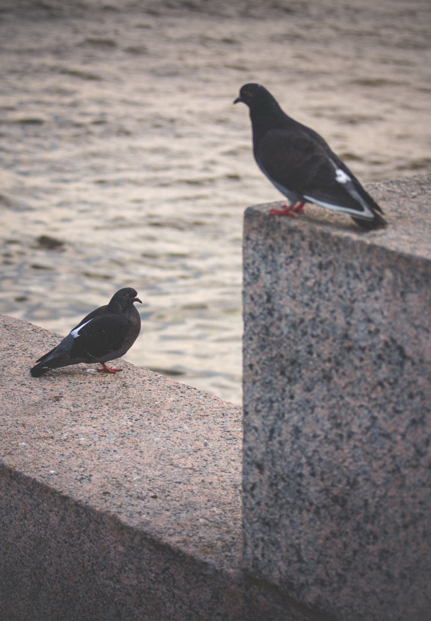 Quarrel