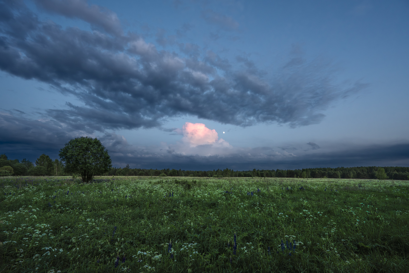 Evening sky