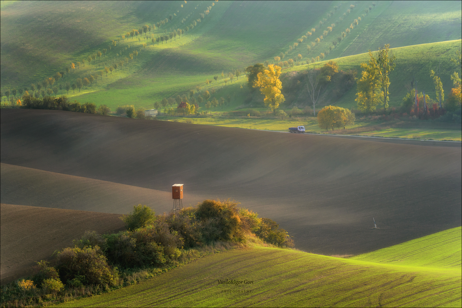 Autumn light