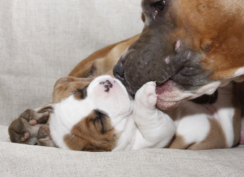 Superhuman tenderness ...