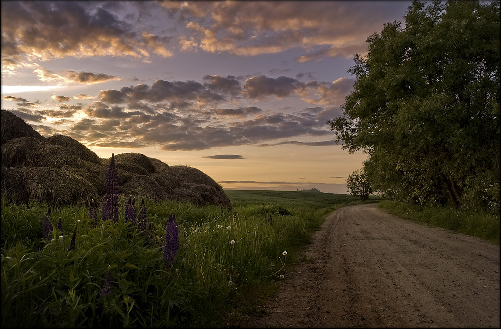 Evening
