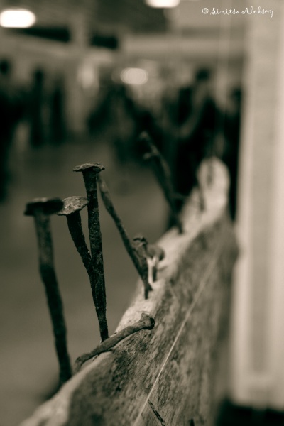 Industrial fungi