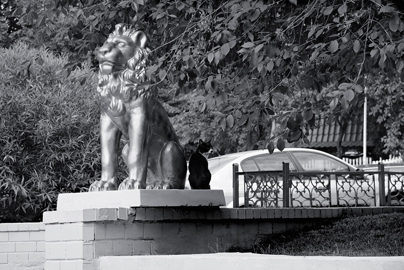 king, the prince ...