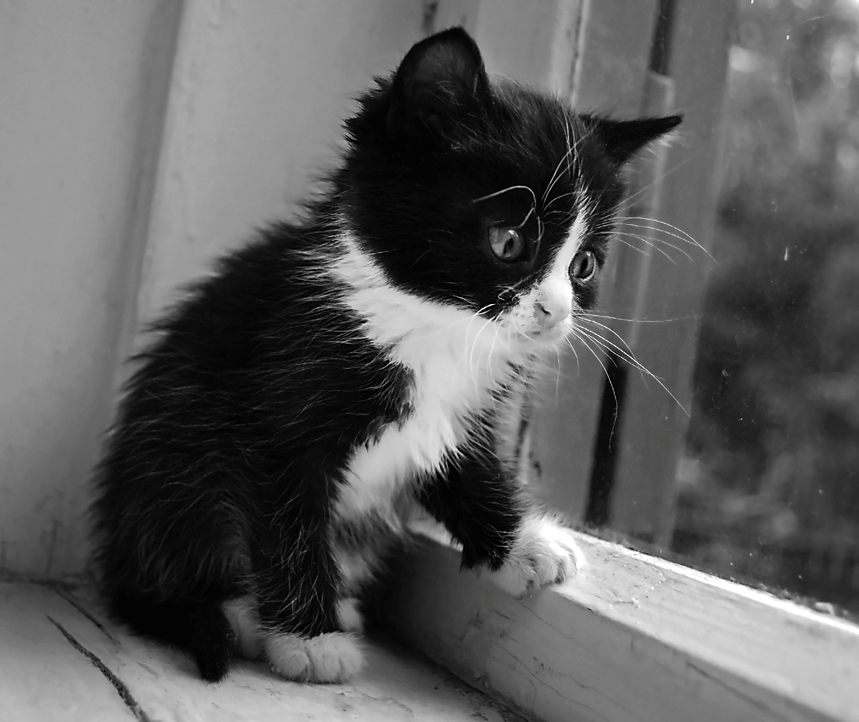 Wating