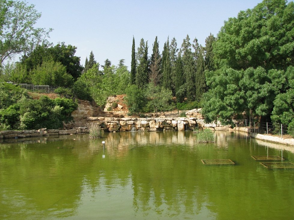 Park