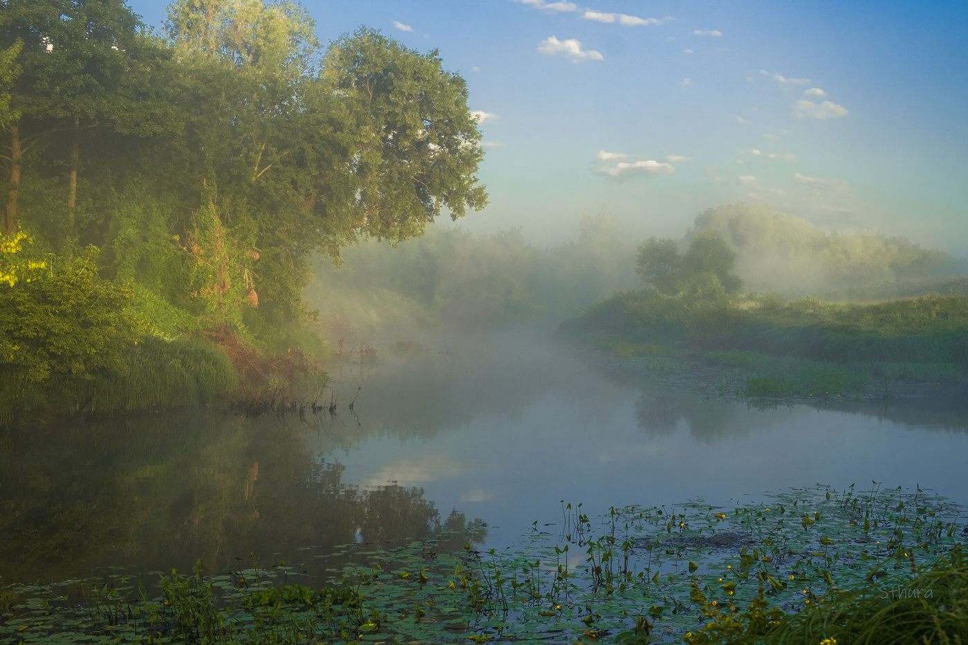 Summer morning.