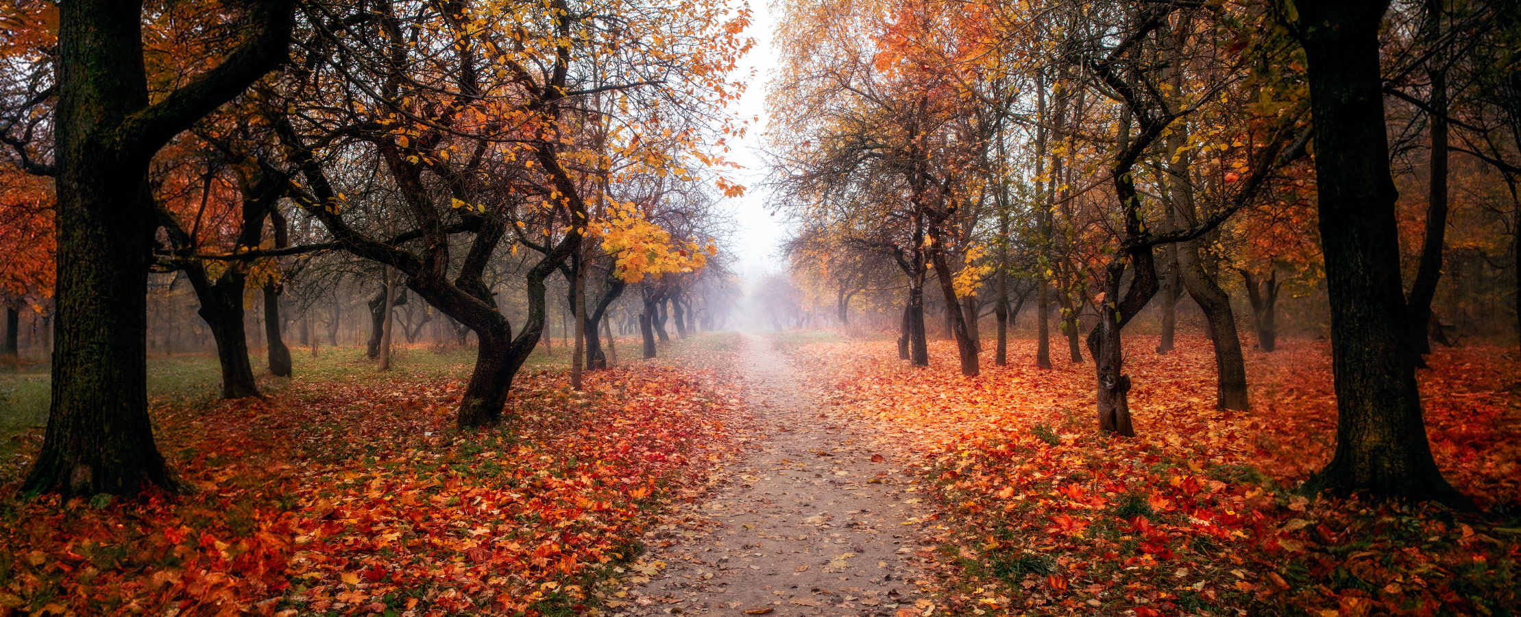 about autumn