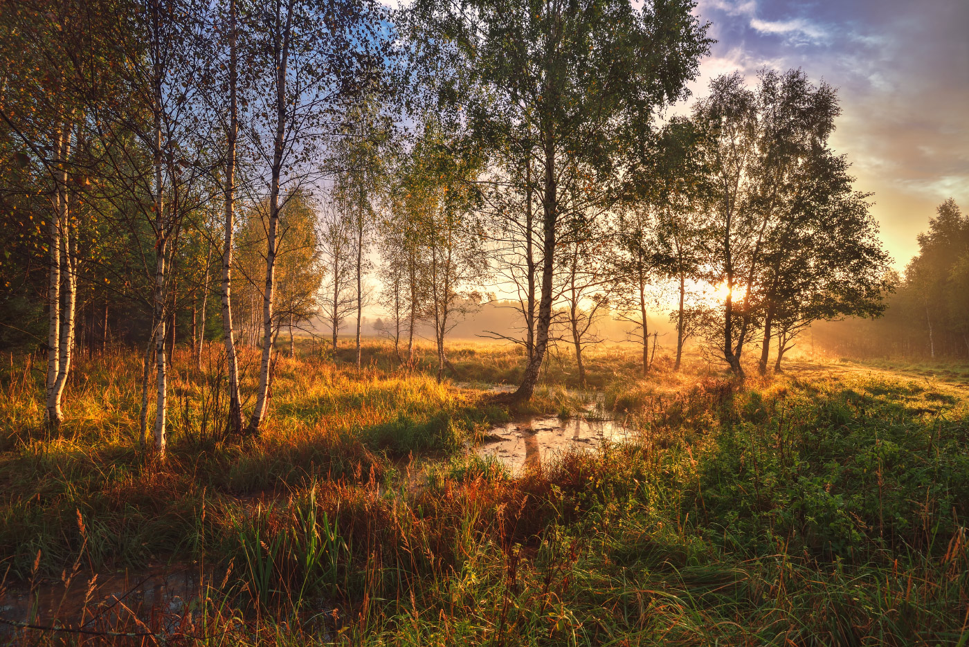 Sunrise over the river