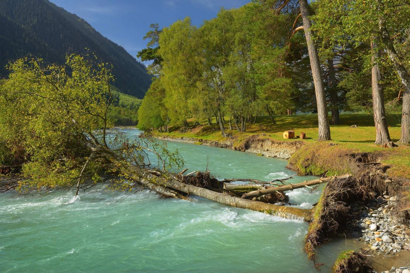 Mountain Stream