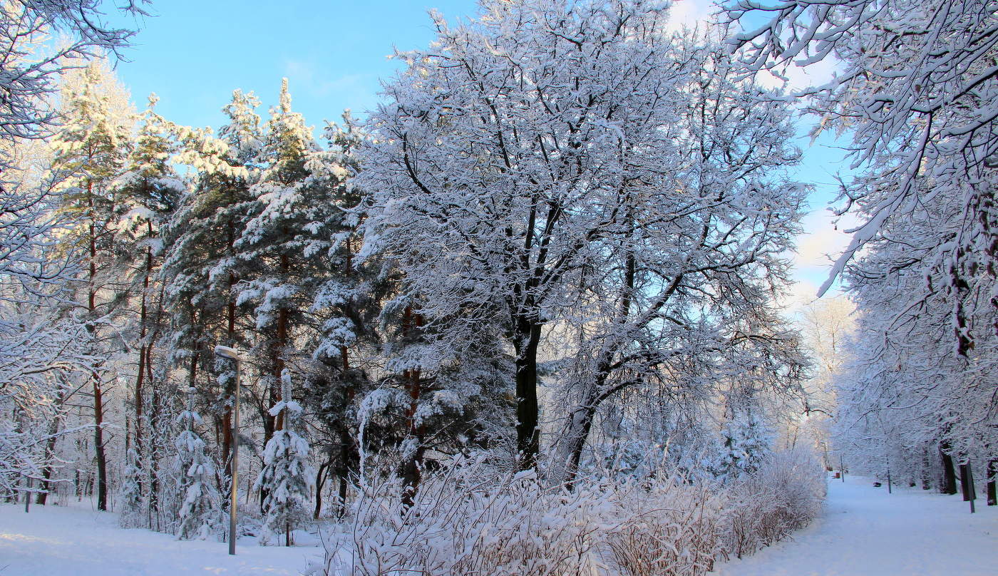 winter day