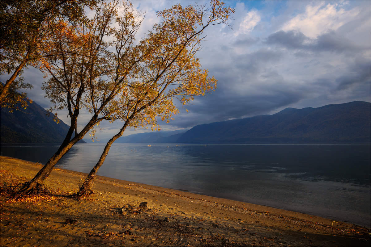 Morning on the lake.