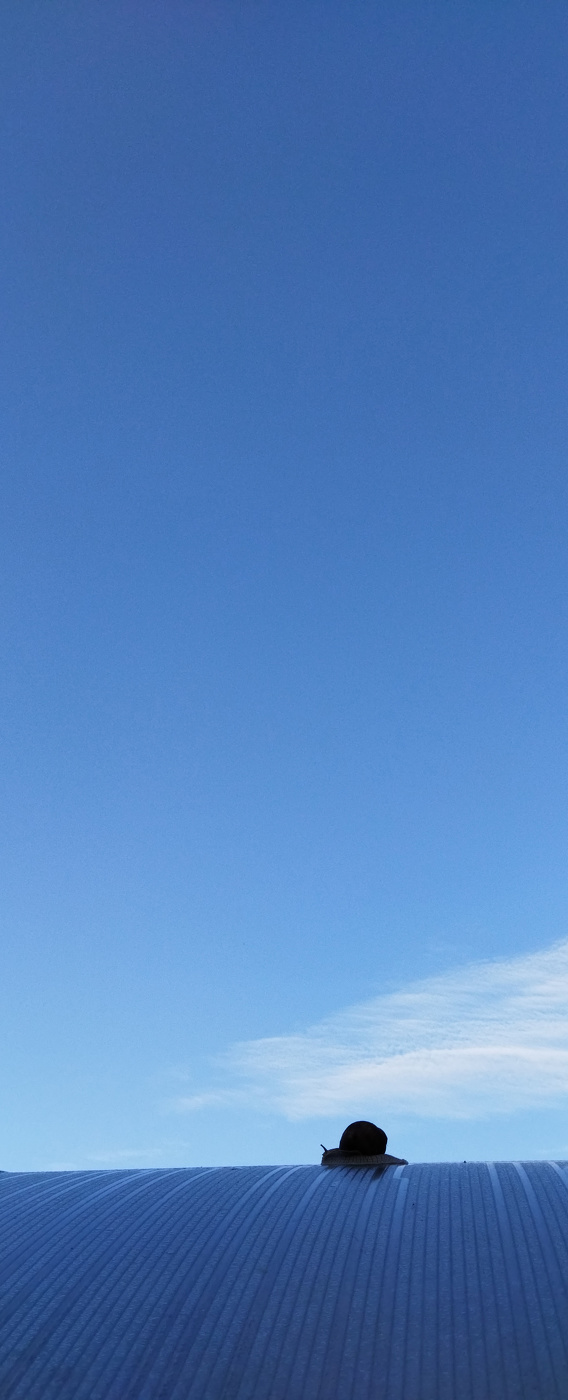 Up