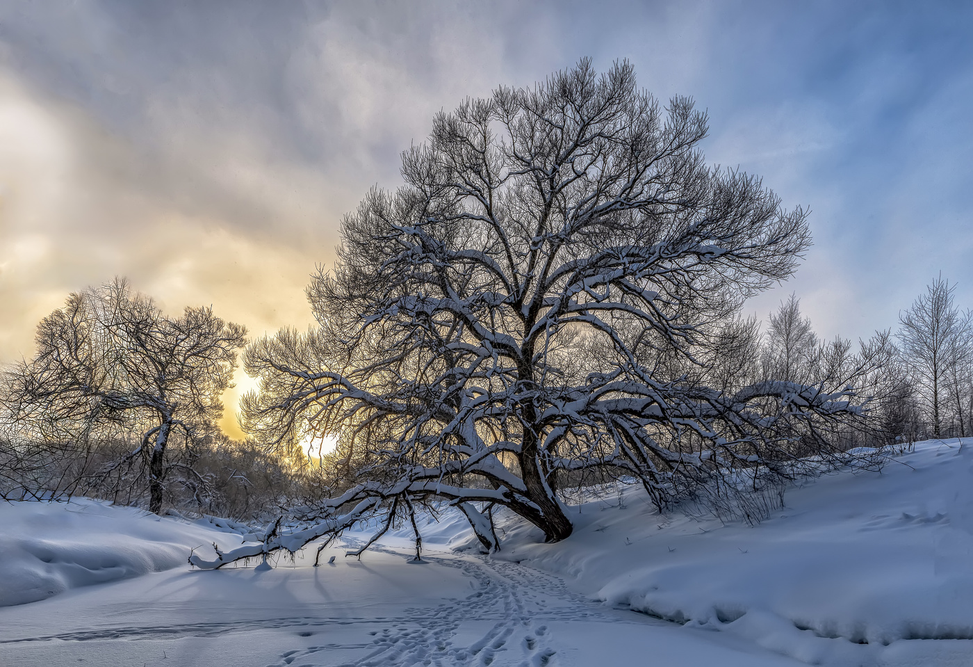 Winter dawn