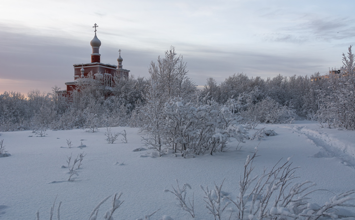the snow