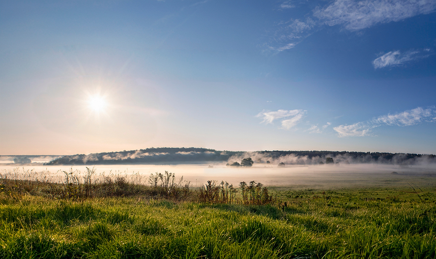 Foggy Hollow