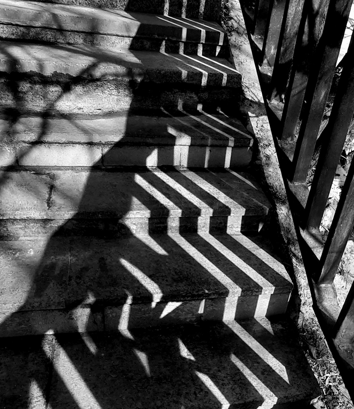 Shadows on the sand