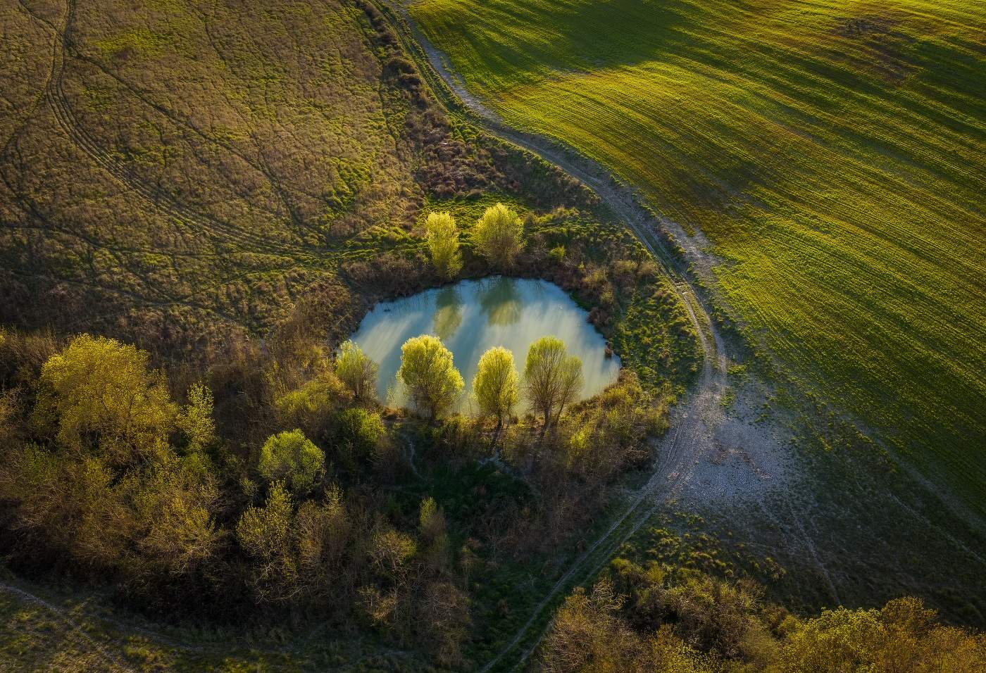 Whispers of Spring / photo