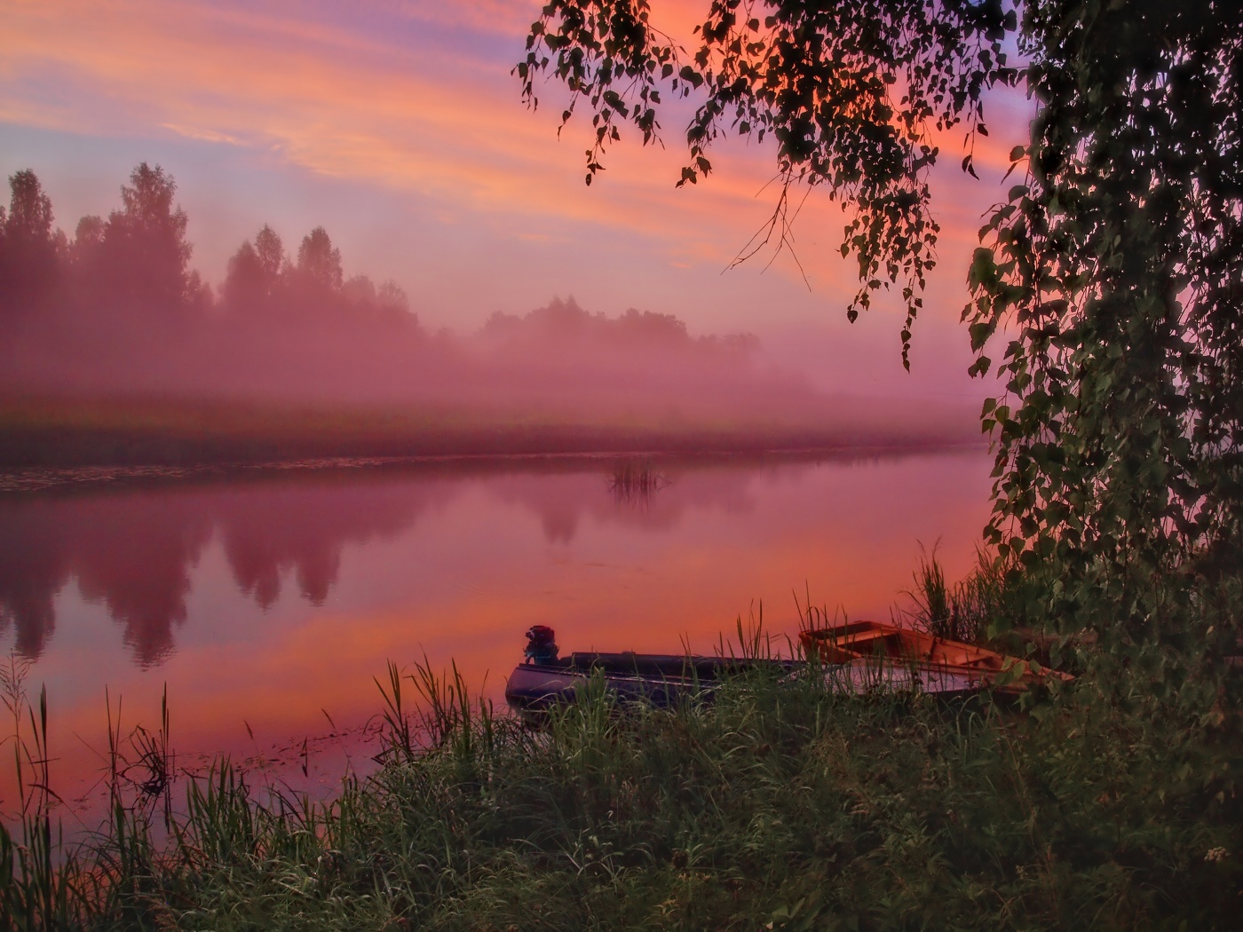 Pink mist