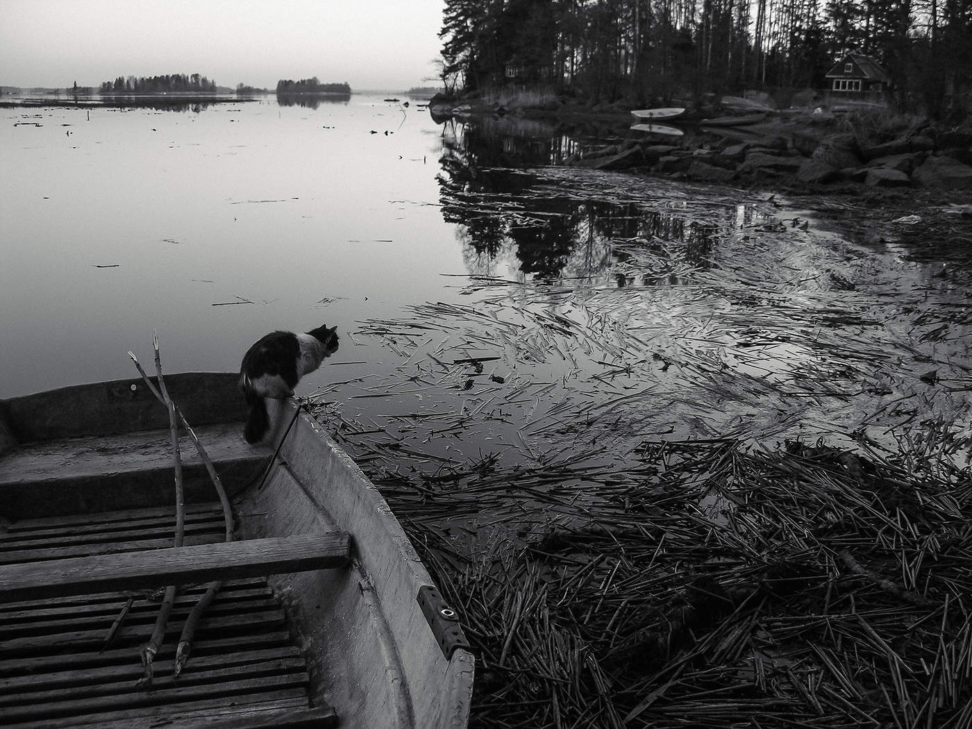 Fisherman.